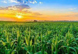 The Power of Slow&nbsp;Growth